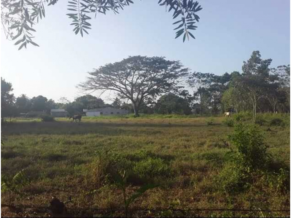 Lote en Venta Monteria Villa Cielo