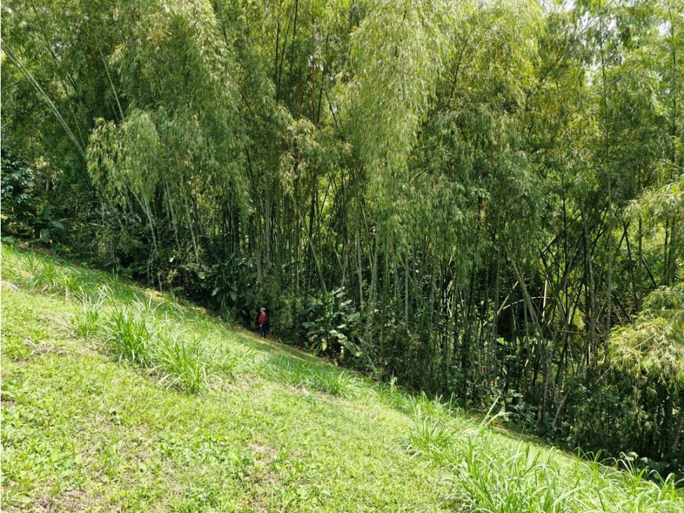 Lote en venta Morelia Pereira — foto 3