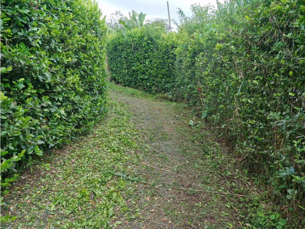 Lote en venta Morelia Pereira — foto 4