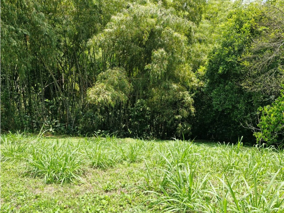 Lote en venta Morelia Pereira — foto 6