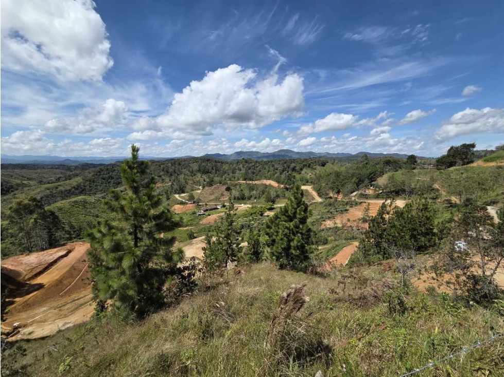 Lote En Venta Municipio De Santo Domingo Antioquia. - 1