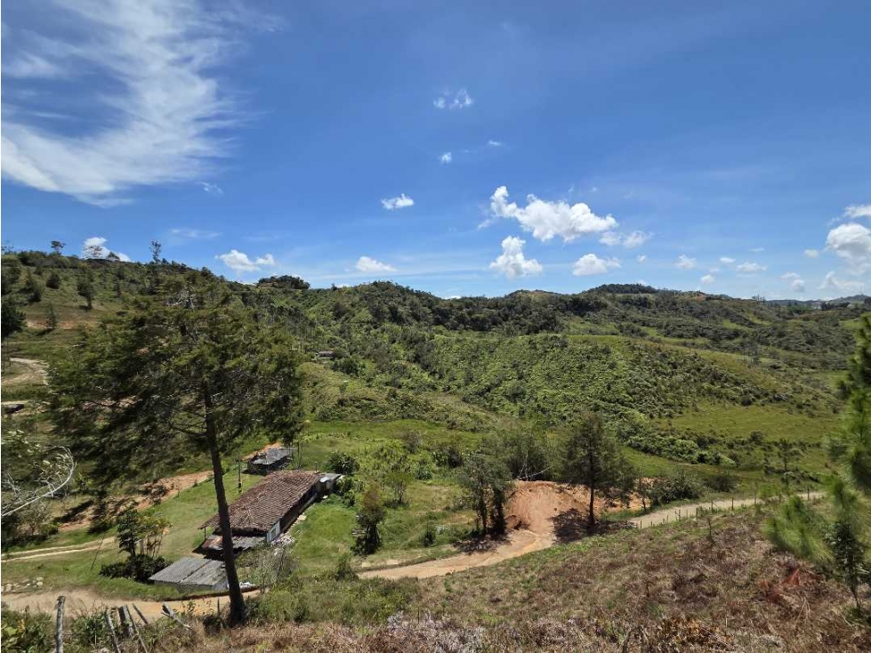 Lote En Venta Municipio De Santo Domingo Antioquia. - 5