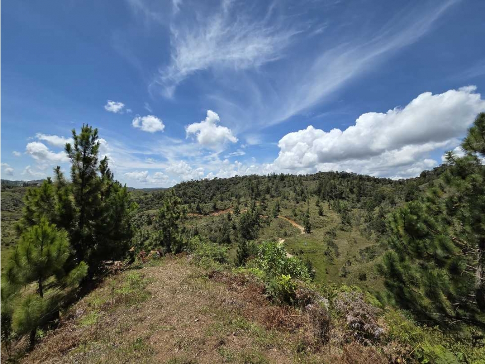 Lote En Venta Municipio De Santo Domingo Antioquia. - 6