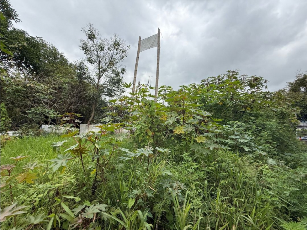 LOTE EN VENTA NORTE DE ARMENIA SECTOR ABORIGENES — foto 3