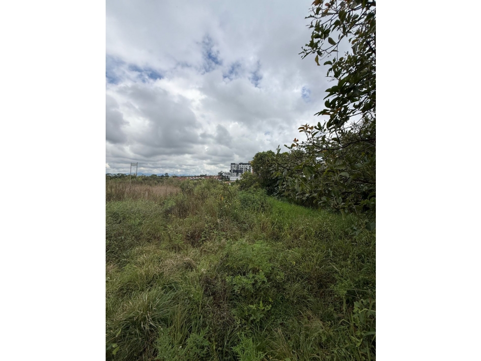 LOTE EN VENTA NORTE DE ARMENIA SECTOR ABORIGENES — foto 4