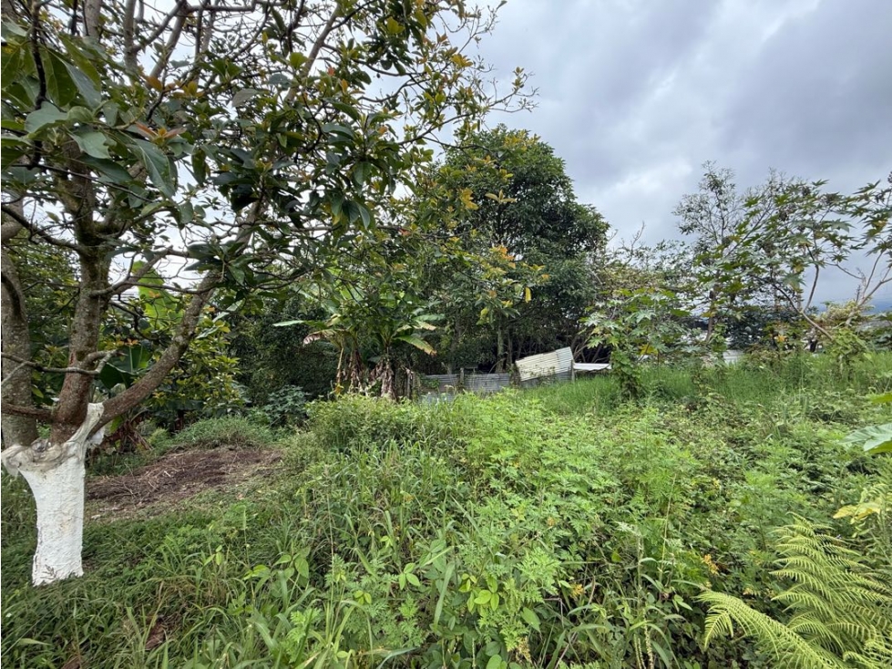 LOTE EN VENTA NORTE DE ARMENIA SECTOR ABORIGENES — foto 5