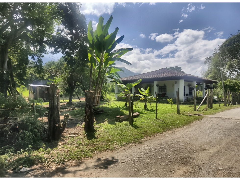 Lote en venta - Palmira