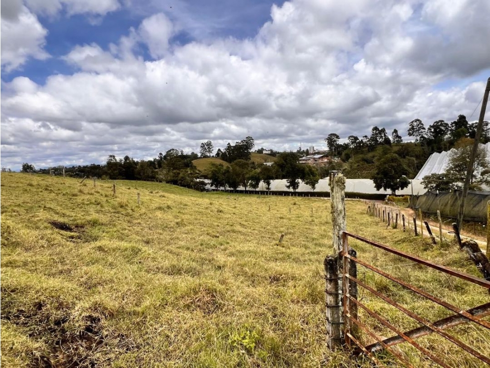 LOTE EN VENTA PARA DESARROLLO URBANÍSTICO EN VENTA ~ EL CARMEN DE VIB. — foto 3