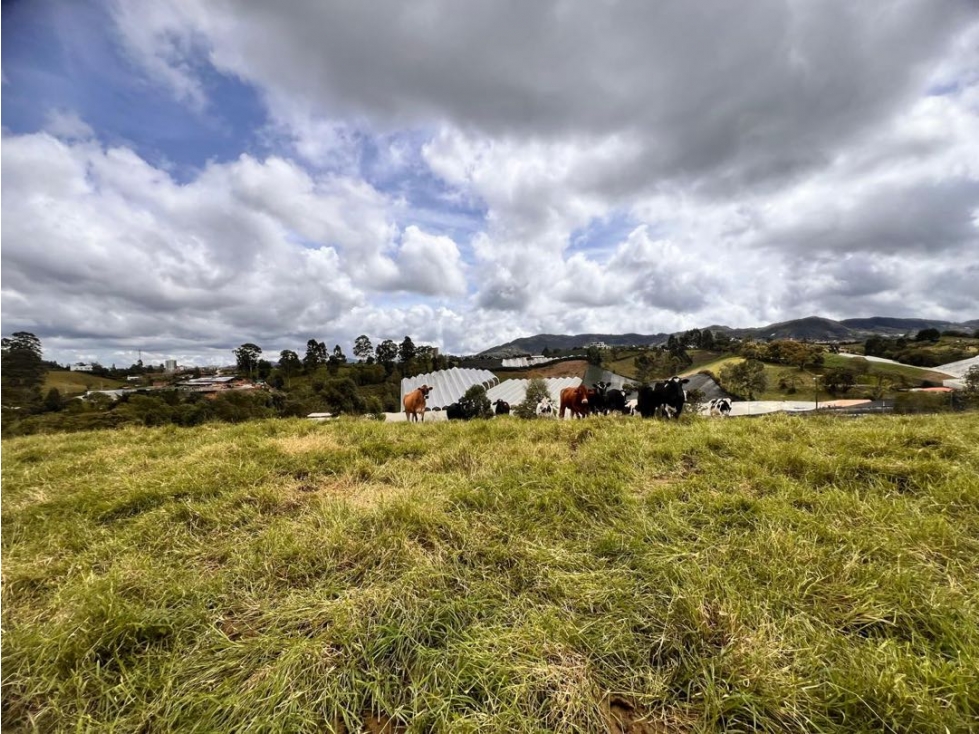 LOTE EN VENTA PARA DESARROLLO URBANÍSTICO EN VENTA ~ EL CARMEN DE VIB. — foto 5
