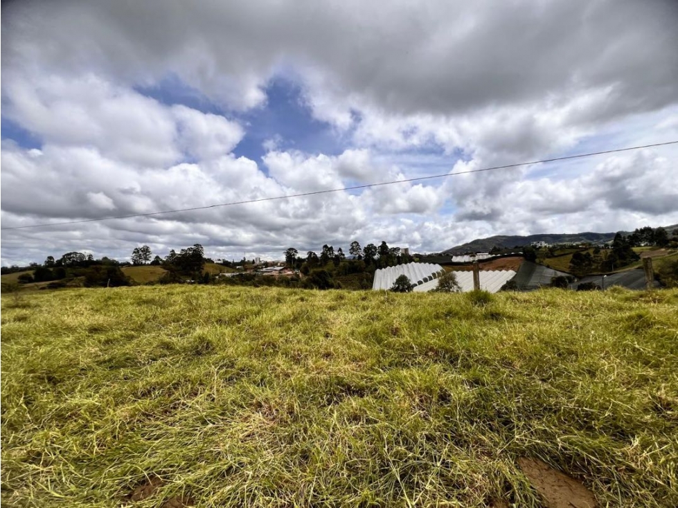 LOTE EN VENTA PARA DESARROLLO URBANÍSTICO EN VENTA ~ EL CARMEN DE VIB. — foto 6