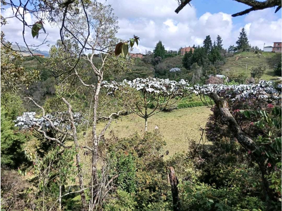 LOTE EN VENTA PARA DIFERENTES USOS,INDUSTRIAL,VIA LA AUTOP,AEROPUERTO — foto 4
