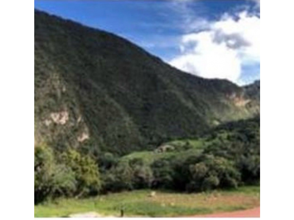 LOTE EN VENTA PARCELACIÓN LA CALERA. Magnífico precio - 1