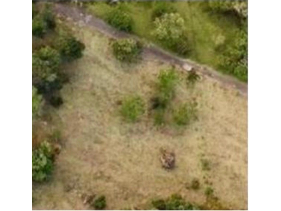 LOTE EN VENTA PARCELACIÓN LA CALERA. Magnífico precio - 2