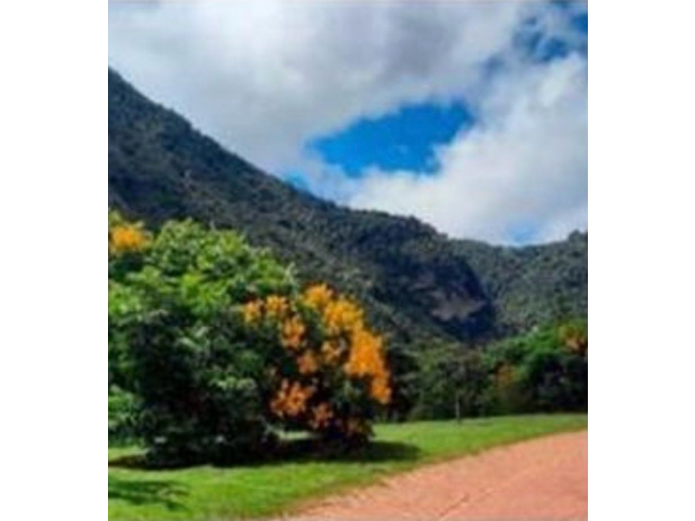 LOTE EN VENTA PARCELACIÓN LA CALERA. Magnífico precio - 3