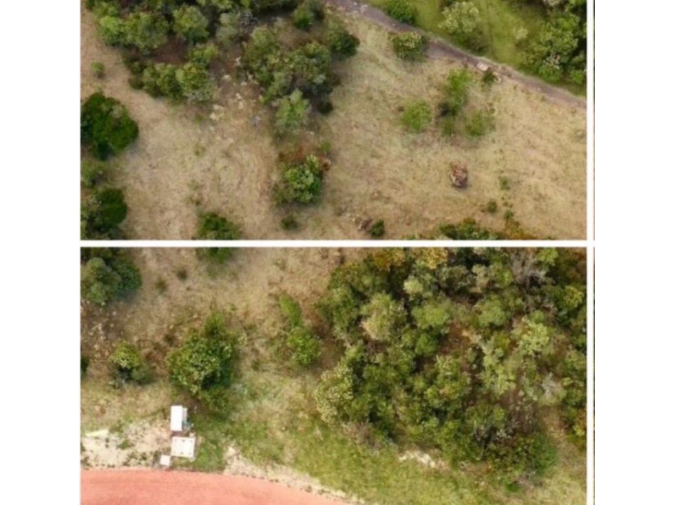 LOTE EN VENTA PARCELACIÓN LA CALERA. Magnífico precio - 4