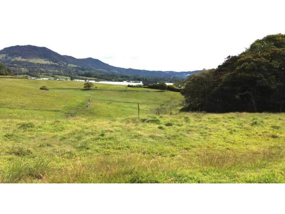 Lote en Venta, Parcelacion cerrada Vía La Ceja San Antonio de Pereira — foto 5