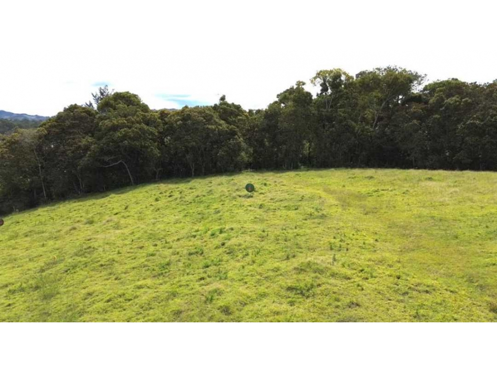 Lote en Venta, Parcelacion cerrada Vía La Ceja San Antonio de Pereira — foto 6
