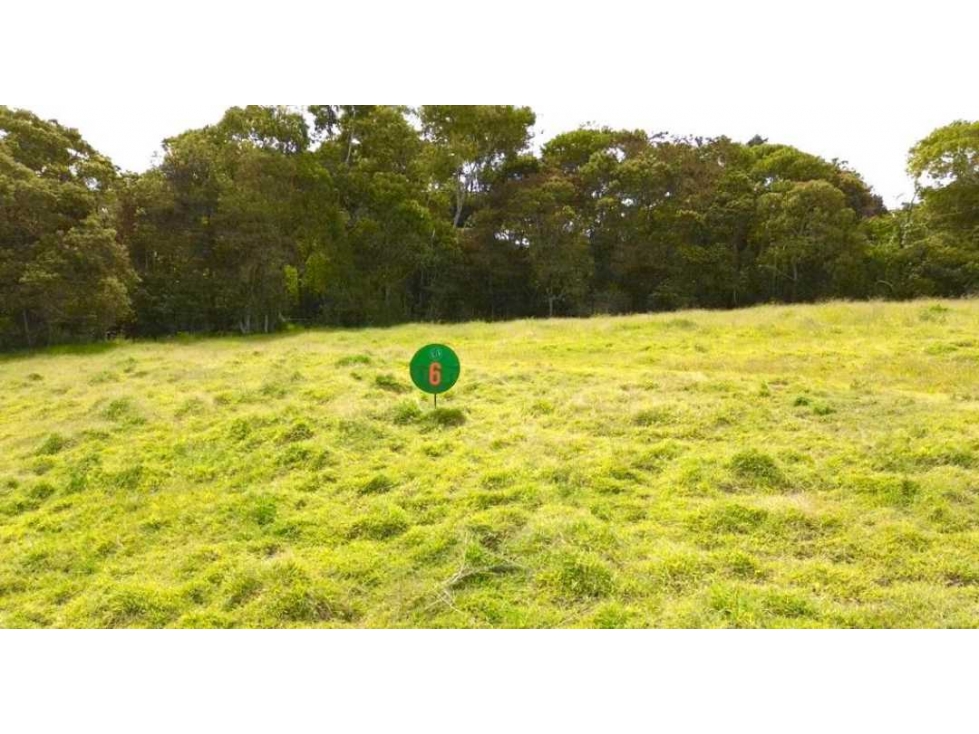Lote en Venta, Parcelacion cerrada Vía La Ceja San Antonio de Pereira — foto 3
