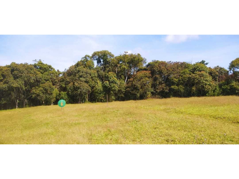 Lote en Venta, Parcelacion cerrada Vía La Ceja San Antonio de Pereira