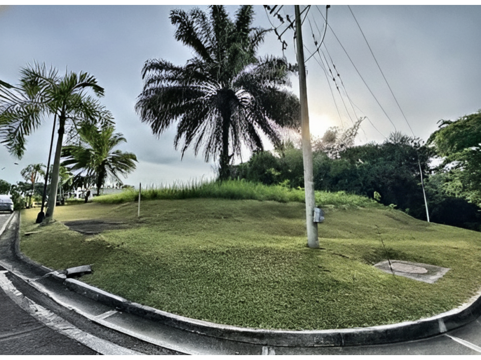 Lote en venta - Pereira, Risaralda — foto 4