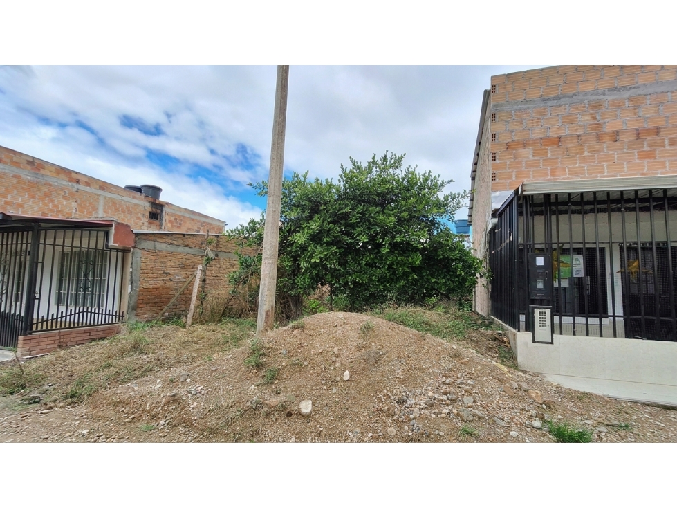 Lote en venta - Pitalito, Huila - 3