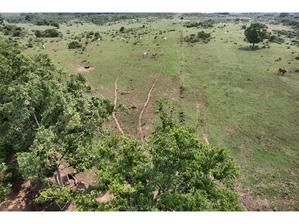Lote en venta - Puerto Lleras - 1