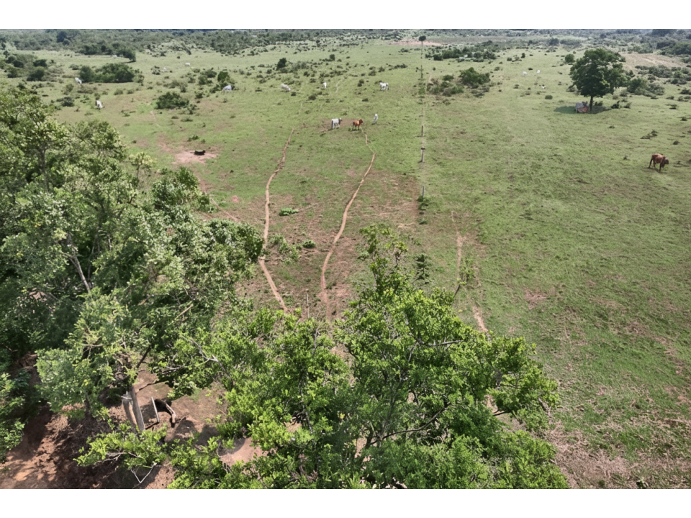 Lote en venta - Puerto Lleras - 1