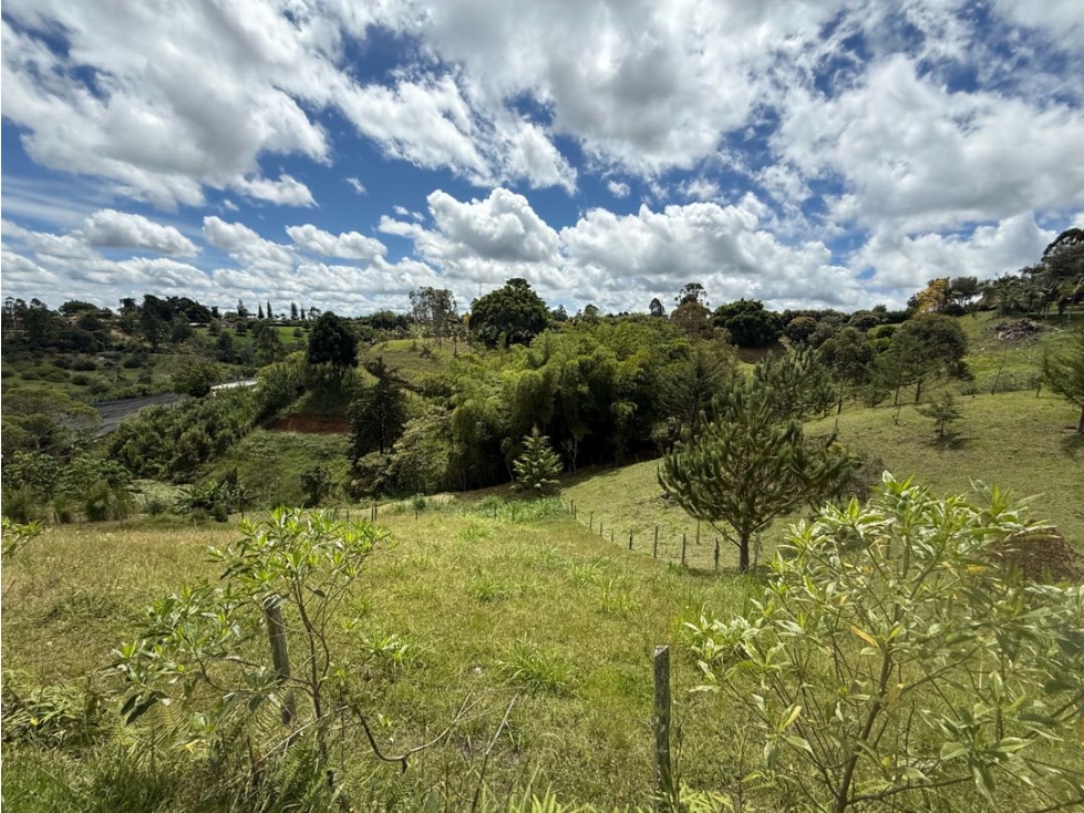 Lote en venta Rionegro límites con el Carmen de Viboral — foto 5