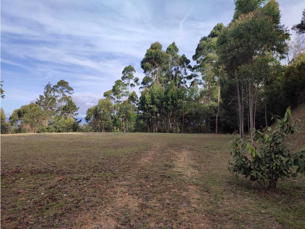 Lote en venta en Rionegro vía - Aeropuerto. LC — foto 3