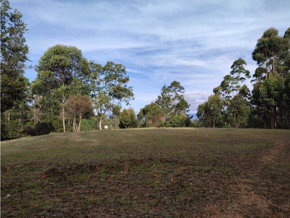 Lote en venta en Rionegro vía - Aeropuerto. LC — foto 4