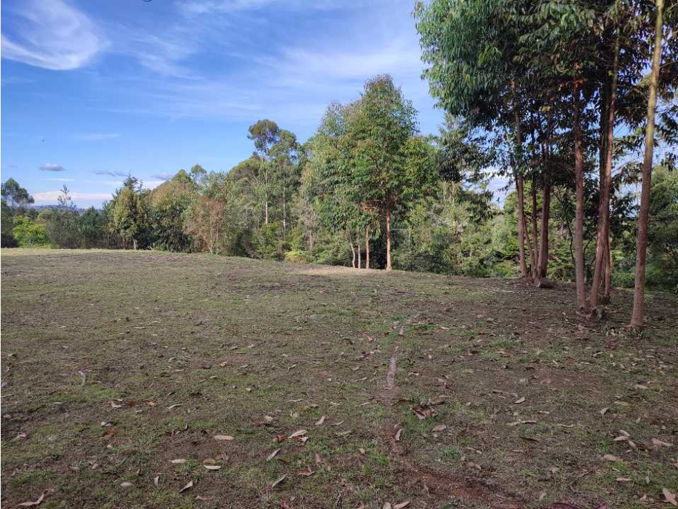 Lote en venta en Rionegro vía - Aeropuerto. LC — foto 5