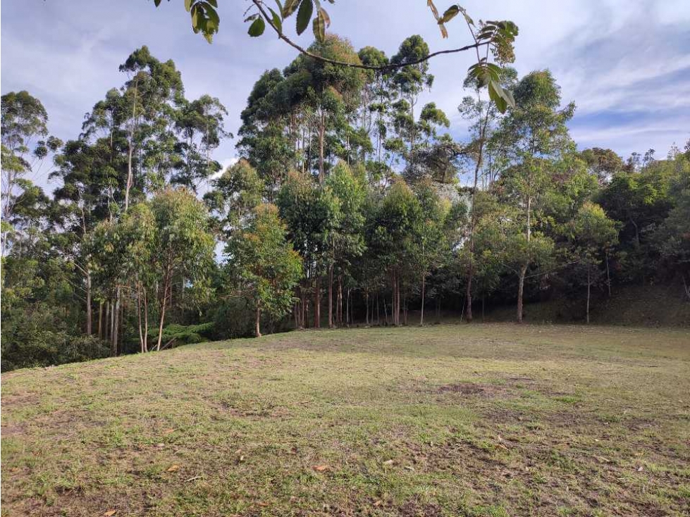Lote en venta en Rionegro vía - Aeropuerto. LC — foto 6