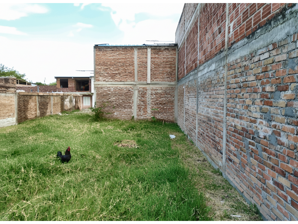 Lote en venta - Roldanillo