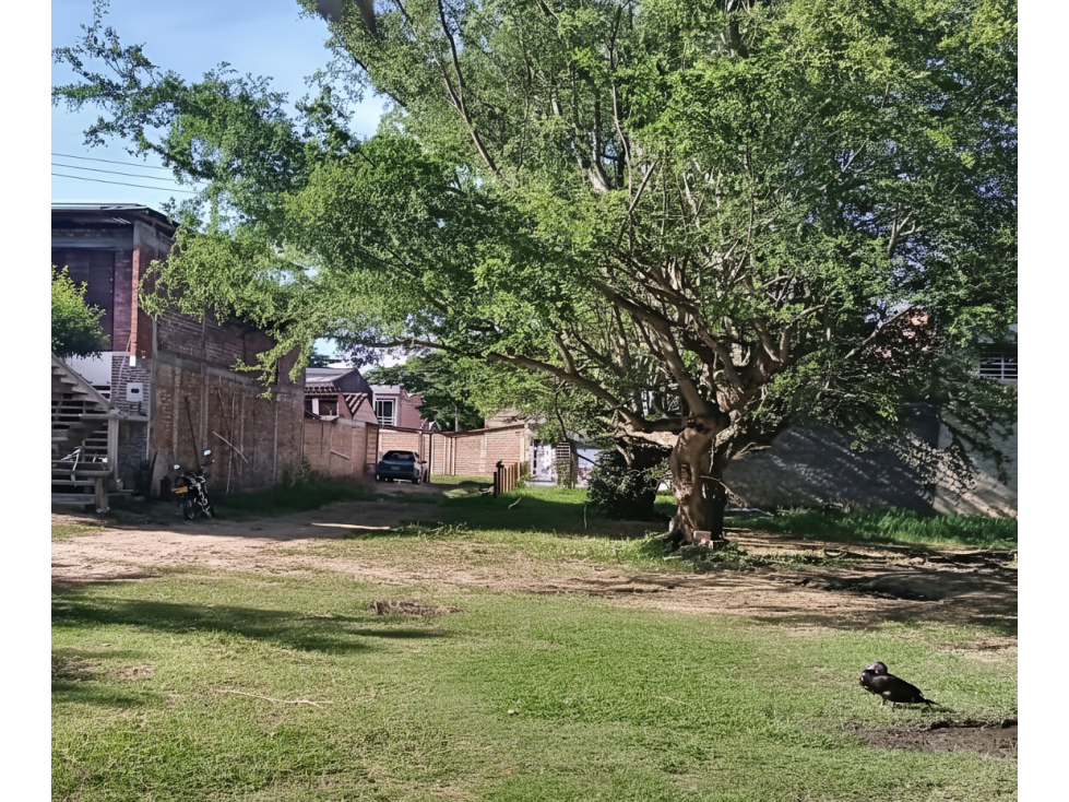 Lote en venta - Roldanillo
