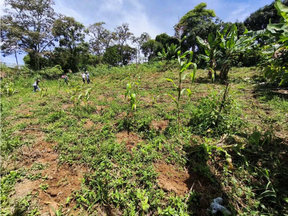 LOTE EN VENTA RUITOQUE/ PIEDECUESTA - 5