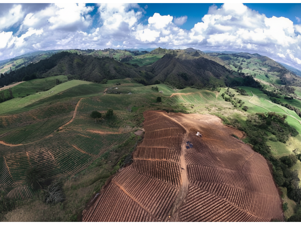 Lote en venta - San Pedro De Cartago