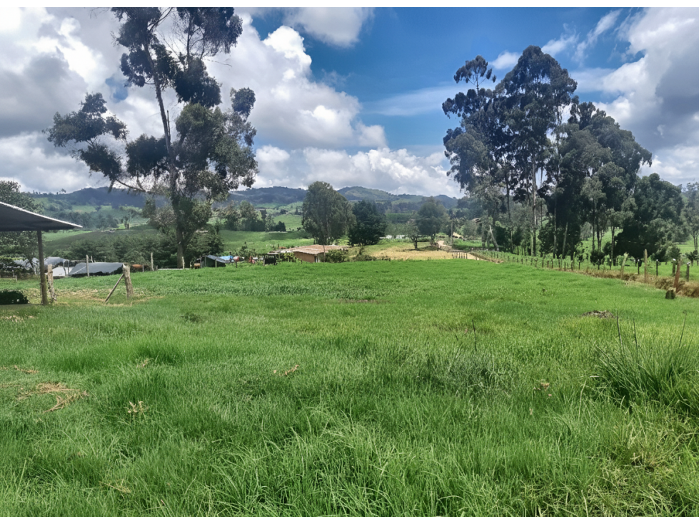 Lote en venta - San Pedro De Cartago