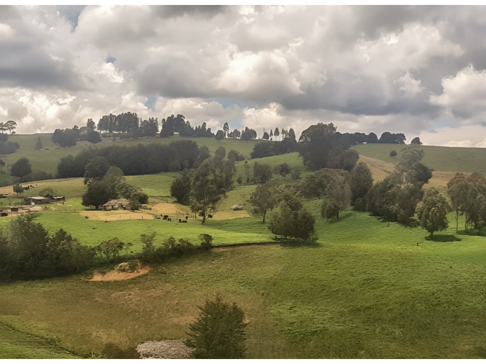 Lote en venta - San Pedro De Cartago