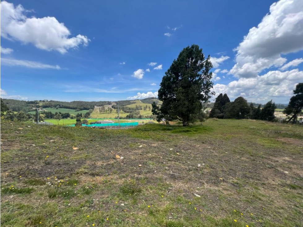 Lote en venta sector Alto de las Palmas con vista en parcelación — foto 4