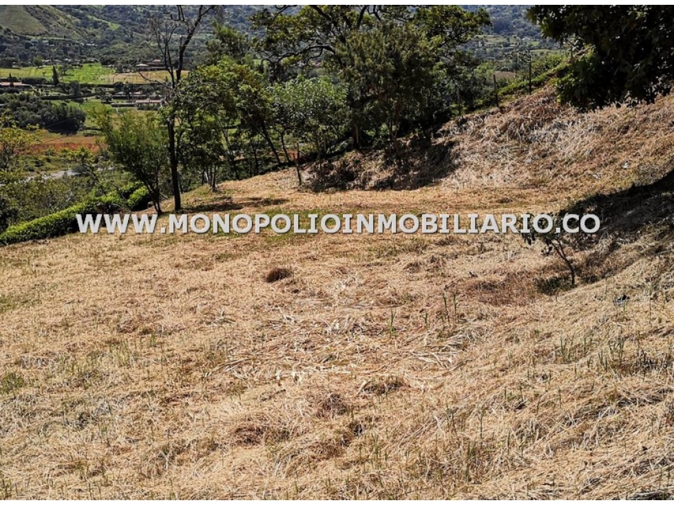 LOTE EN VENTA - SECTOR ANCON, COPACABANA COD: 21847 - 2