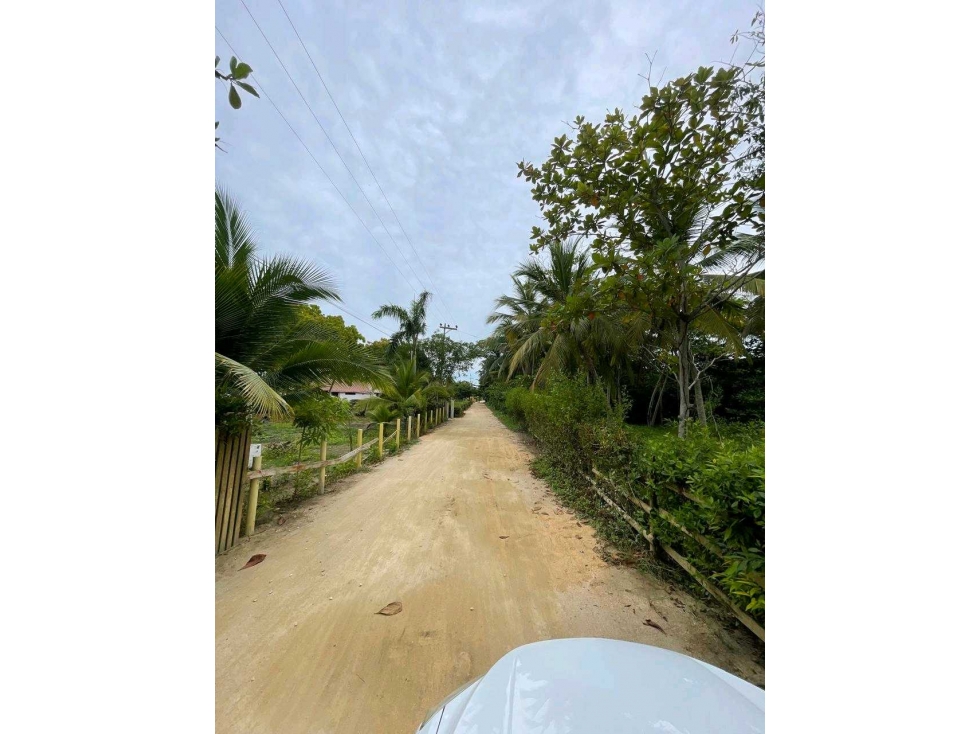 LOTE EN VENTA SECTOR EL FRANCES TOLU - USO ECOLOGICO - 1