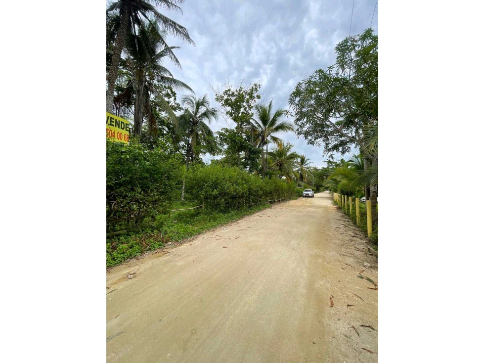 LOTE EN VENTA SECTOR EL FRANCES TOLU - USO ECOLOGICO - 2