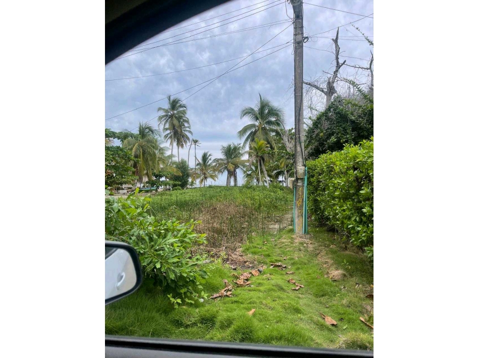 LOTE EN VENTA SECTOR EL FRANCES TOLU - USO ECOLOGICO - 3