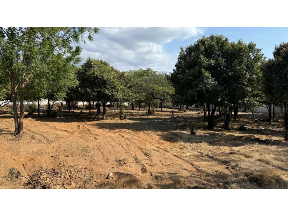 Lote en venta sector La Paz cercano a Bello Horizonte Santa Marta — foto 3