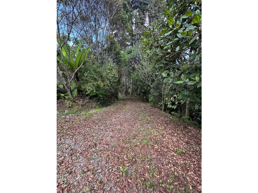 Lote en Venta, sector Lemont, Alto de Palmas, Unidad Cerrada — foto 5