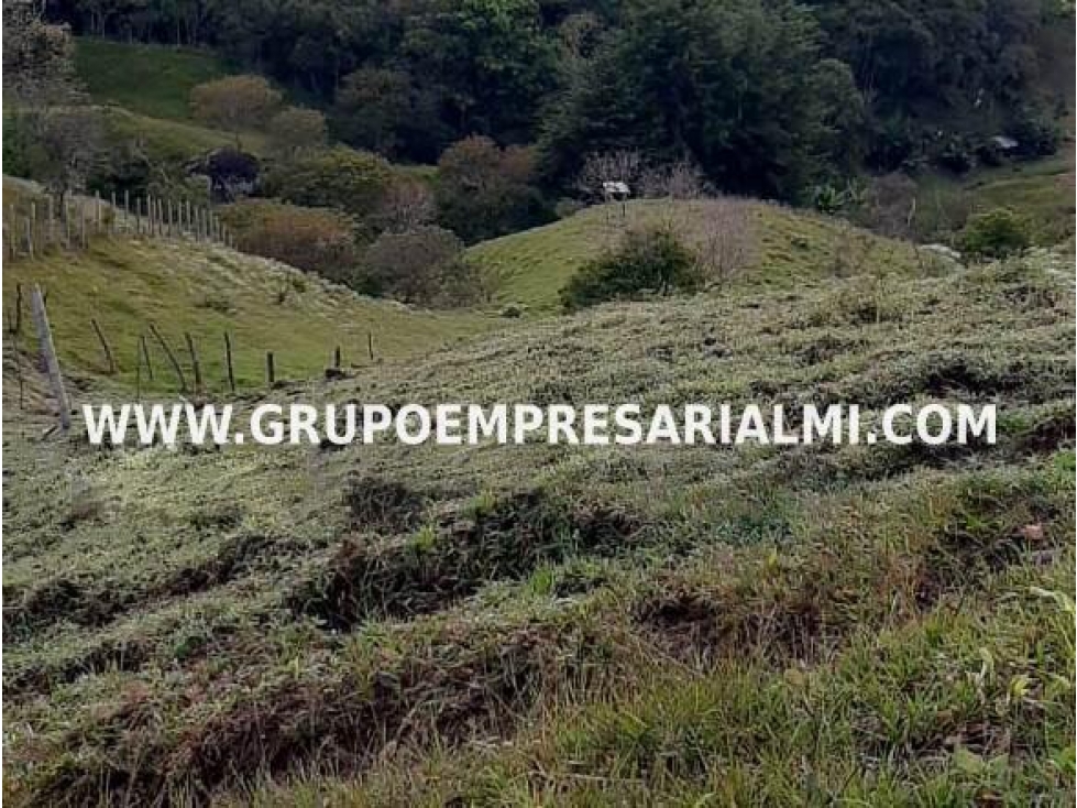 LOTE EN VENTA - SECTOR QUEBRADA ARRIBA, GUATAPE COD: 23681 - 3