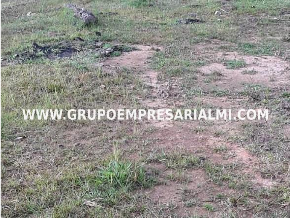 LOTE EN VENTA - SECTOR QUEBRADA ARRIBA, GUATAPE COD: 23681 - 2