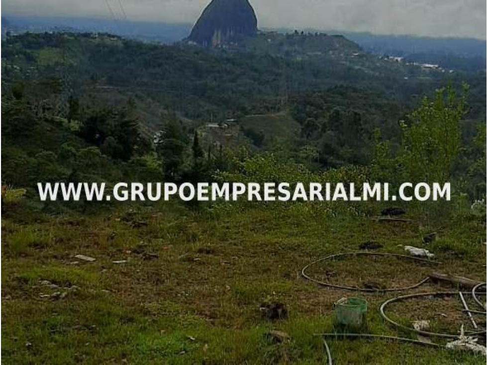 LOTE EN VENTA - SECTOR QUEBRADA ARRIBA, GUATAPE COD: 23681 - 1