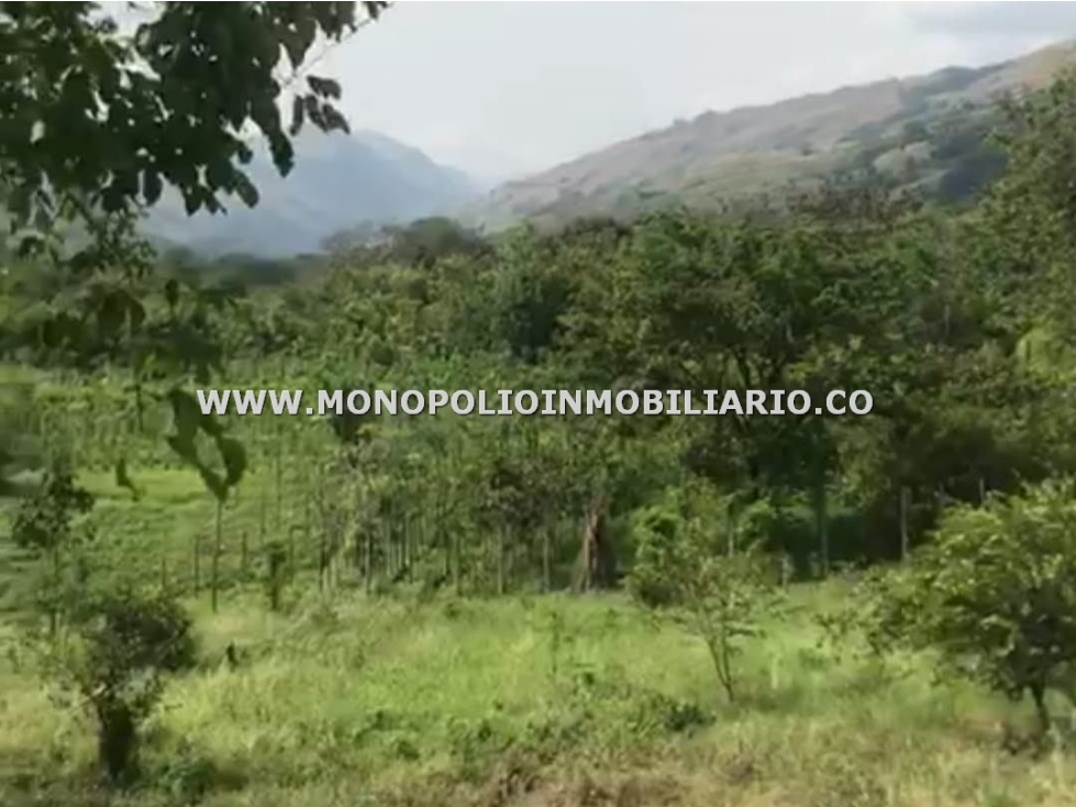 LOTE EN VENTA - SECTOR SANTA FE DE ANTIOQUIA COD: 23470 - 4