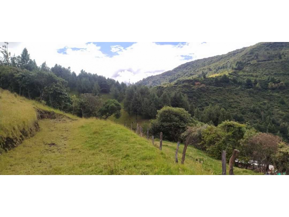 Lote en venta sector chachatoy en Pasto Nariño